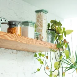 BergHOFF Leo Plastic Food Storage Containers, Green -BergHOFF Store GUEST 363ae592 7c43 406e 83fb 2a7afd0452cd